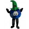 Blueberry Mascot Costume