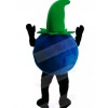 Blueberry Mascot Costume