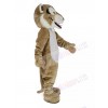 Bobcat Mascot Costume