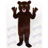 Dark Brown Bear Mascot Costume 