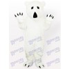 Animal Polar Bear Adult Mascot Costume