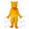 Yellow Bear Mascot Adult Costume