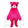 Red Bear Mascot Adult Costume