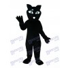Black Beaver Mascot Adult Costume