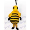 Little Yellow Bee Insect Adult Mascot Costume
