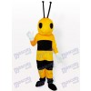 Little Bug Insect Adult Mascot Costume