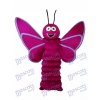 Purple Butterfly Mascot Adult Costume