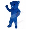 Bear mascot costume