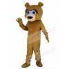 Bear mascot costume