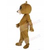 Bear mascot costume