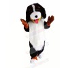 Cute Bernese Mountain Dog Mascot Costumes Animal