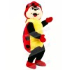 Cute Ladybug Mascot Costumes Cartoon	