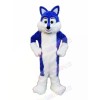 Blue Furry Husky Mascot Costumes Animal