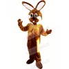Brown and White Rabbit Mascot Costumes Animal
