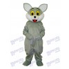 Grey Cat Mascot Adult Costume