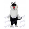 Haha Cat Mascot Adult Costume