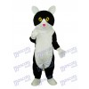 White Belly Black Cat Mascot Adult Costume