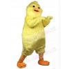 Chicken Fowl mascot costume