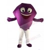 Diamond mascot costume