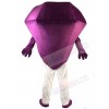 Diamond mascot costume
