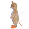 Mouse Rat mascot costume