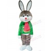 Bunny Rabbit mascot costume