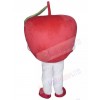 Apple Fruit mascot costume