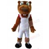 Beaver mascot costume