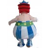 Asterix Obelix mascot costume