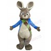 Easter Bunny Rabbit mascot costume