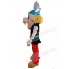 Asterix Obelix mascot costume