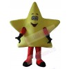 Star mascot costume