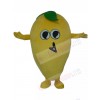 Mango mascot costume