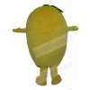 Mango mascot costume