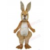 Kangaroo mascot costume