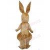 Kangaroo mascot costume