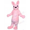 Bunny Rabbit mascot costume