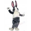 Bunny Rabbit mascot costume