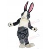 Bunny Rabbit mascot costume