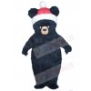 Bruce the Bear mascot costume