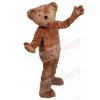 Ted E Bear mascot costume