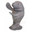 Manatee mascot costume