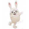 Rabbit mascot costume