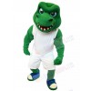 Crocodile mascot costume