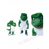 Crocodile mascot costume