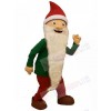 Dwarfs Elf mascot costume