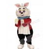 Rabbit mascot costume