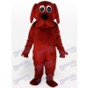 Brown Rooney Dog Animal Adult Mascot Funny Costume