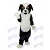 Black Dog Mascot Adult Costume