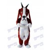 Revised Basset Dog Mascot Adult Costume